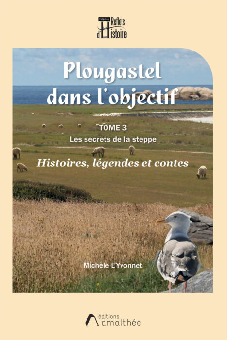 Plougastel dans l'objectif - Tome 3 : Les secrets de la steppe