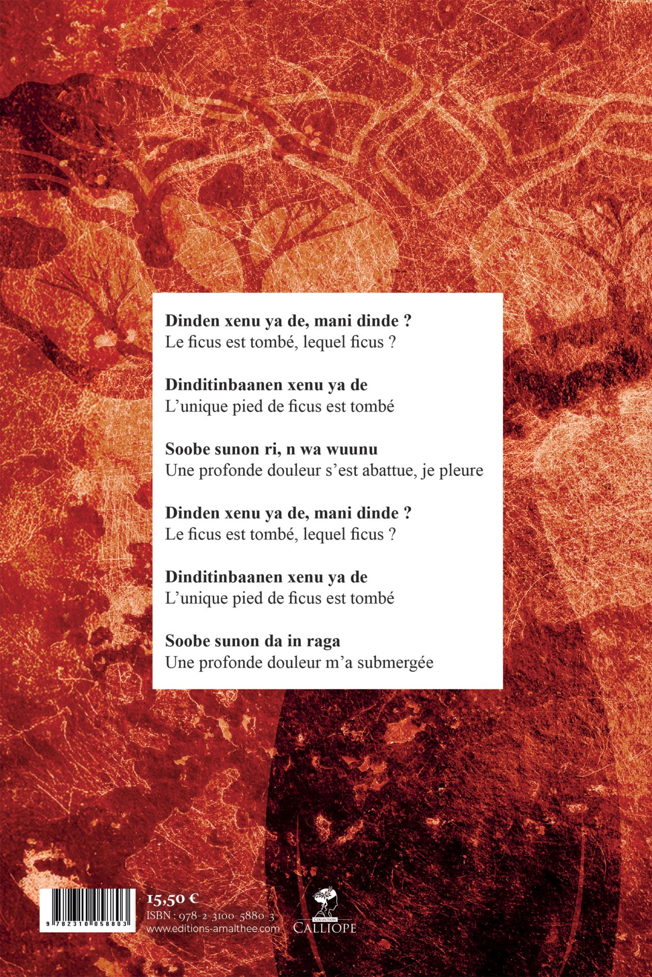 SOONINKANSUUGE, 28 suugu liŋu - MUSIQUE SOONINKE, 28 belles chansons – Image 2