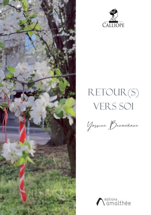 Retour(s) vers Soi