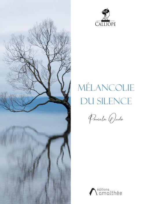 Mélancolie du silence